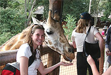 Giraffe Centre Nairobi