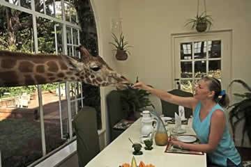 Giraffe Manor Hotel Nairobi