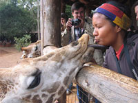 Giraffe Centre Nairobi